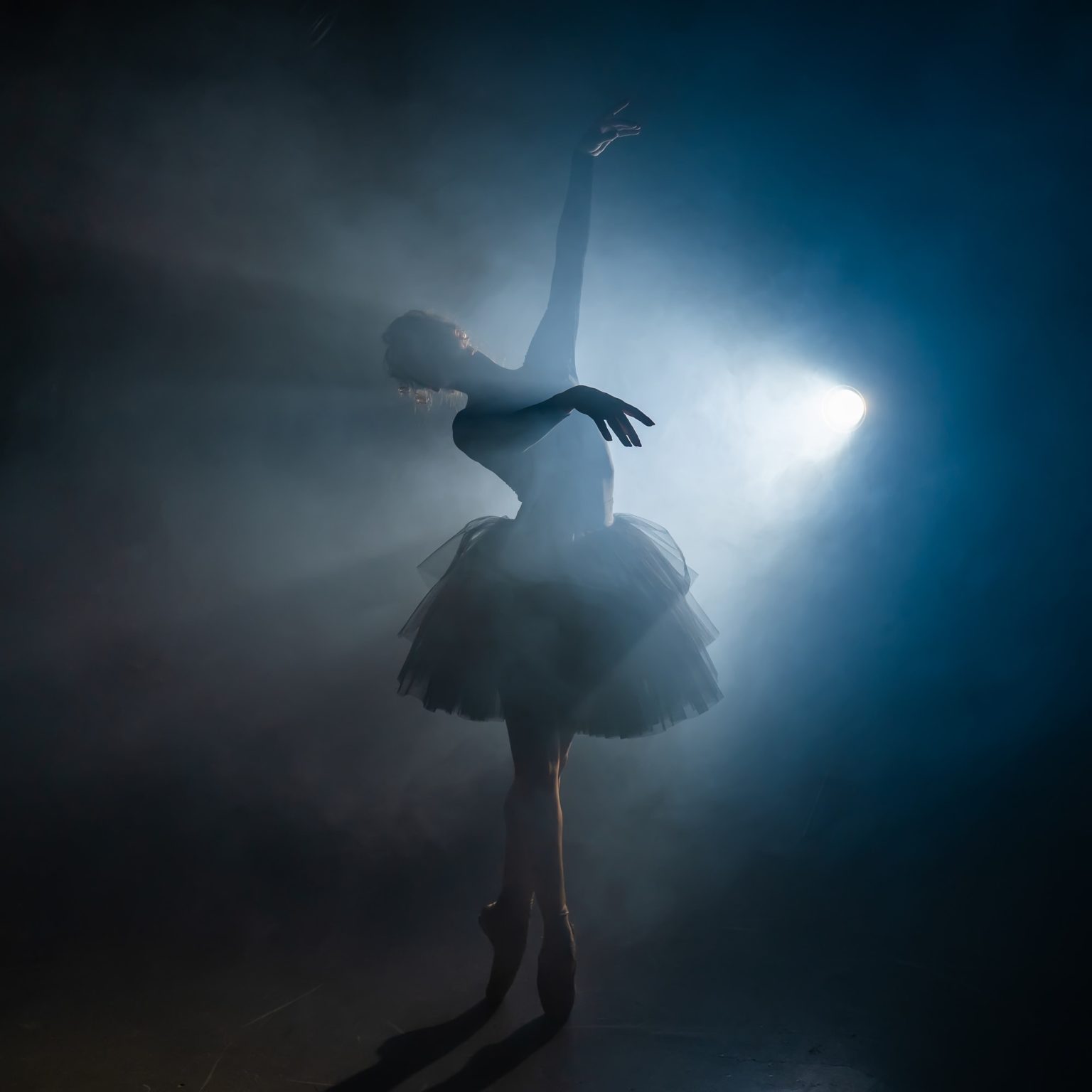 young beautiful ballerina on smoke